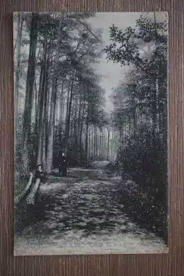 Oferta Ginneken Mastbosch