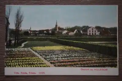 Tani Hillegom Gezicht op