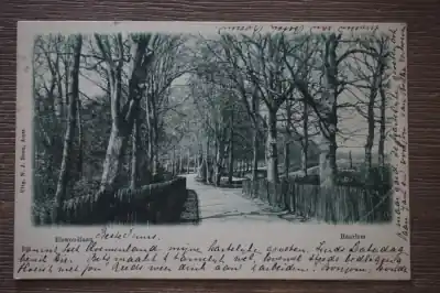 Haarlem Elswoudlaan Niska cena