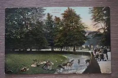 Zamów teraz Haarlem Hertekamp