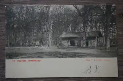 Tani Haarlem Hertenkamp