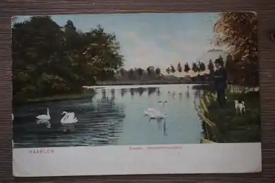 Darmowa dostawa Haarlem Zwanen Haarlemmerhoutpark