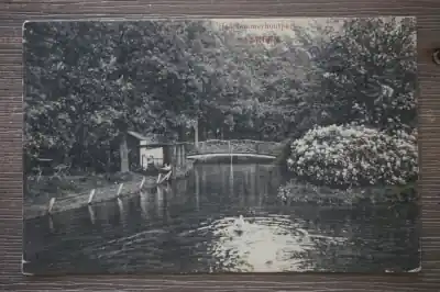 Haarlem Haarlemmerhoutpark Ostatnia szansa