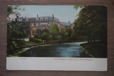 Leiden Academisch ziekenhuis Morschsingel Niska cena