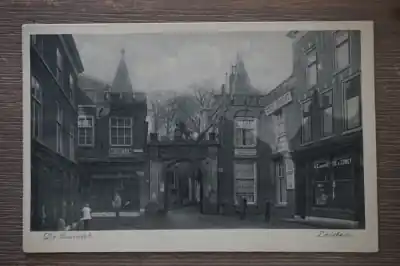 Tylko dziś Leiden De Burcht