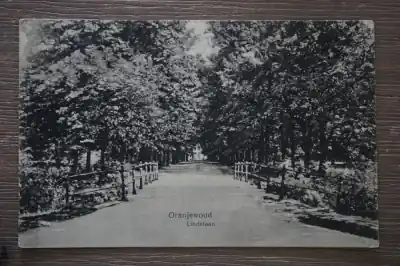 Oranjewoud Lindelaan Wysoka jakość
