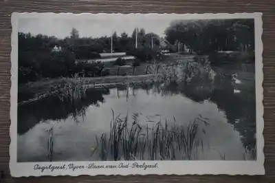 Popularny Oegstgeest vijver en laan van oud Doelgeest