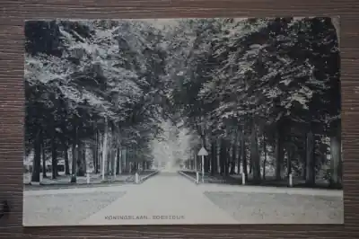 Soestdijk Koningslaan Ostatnia szansa