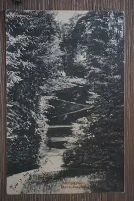 Autentyczny Oosterbeek Mariendaal