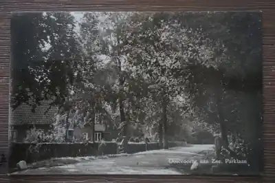 Niska cena Oostvoorne Parklaan