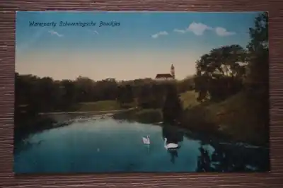 Scheveningen Waterpartij Scheveningsche boschjes Najlepsza cena
