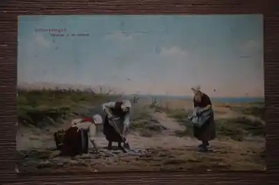 Scheveningen Nalezen in de duinen Ostatnia szansa