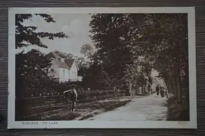 Renesse De Laan Darmowa dostawa