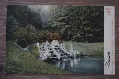 Oferta limitowana Rozendaal Reuzen