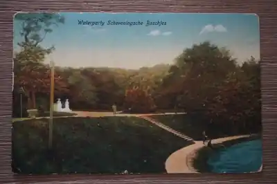 Niska cena Scheveningen Waterpartij Scheveningsche boschjes