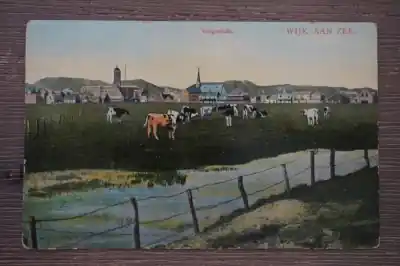 Wijk aan zee Vergezicht Tani