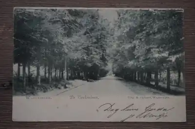 Tylko dziś Wageningen De Beukenlaan