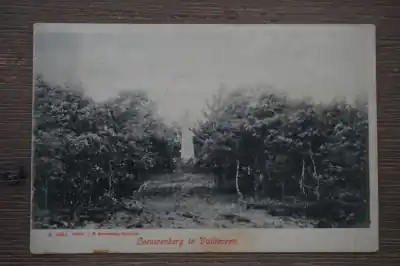 Valkeveen Leeuwenberg Tani