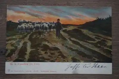 Oryginalny Velp Op de Zijpenberg