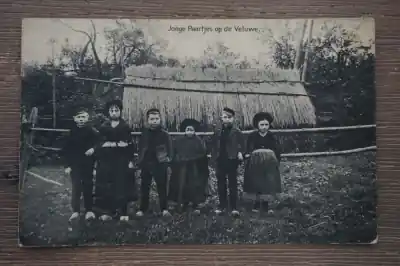 Tylko dziś Veluwe Jonge paartjes