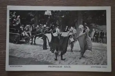 Szybka dostawa Kokodorus Professor Bacil Apotheek