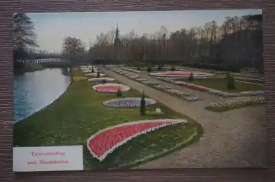 Tani Tuinversiering met bloembollen