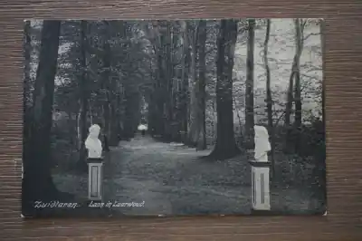 Ostatnia szansa Zuidlaren Laan in de Laarwoud