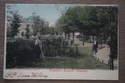 Zaandam Plantsoen zuiddijk Premium