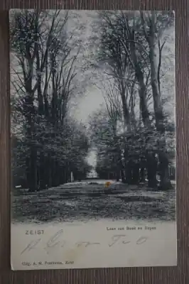 Najlepsza cena Zeist Laan van Beek en Royen