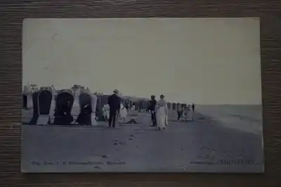 Tani Zandvoort Groeten uit