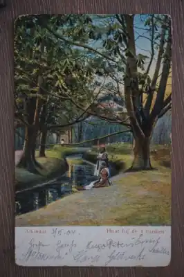 Wysoka jakość Alkmaar Hout bij de 4 banken