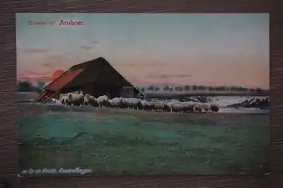 Arnhem Op de heide Szybka dostawa