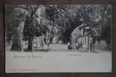 Tani Bergen Duinvermaak