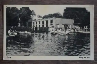 Berg en Dal Erica Oryginalny