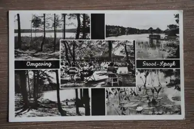 Oryginalny Groot Speijk