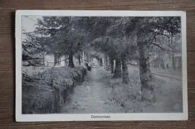 Heelsum Dennenlaan Ostatnia szansa