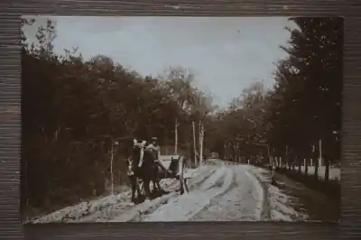 Wysoka jakość Oisterwijk Gemullehoekenweg