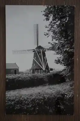 Kup teraz Oterleek Groeten uit