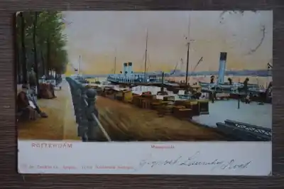 Promocja Rotterdam Maasgezicht