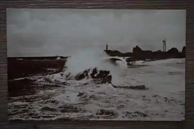 Oryginalny Scheveningen Springende golf bij de haven