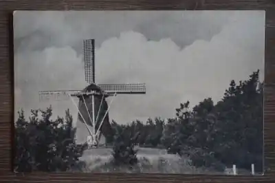 Schoorl Oude molen Tani