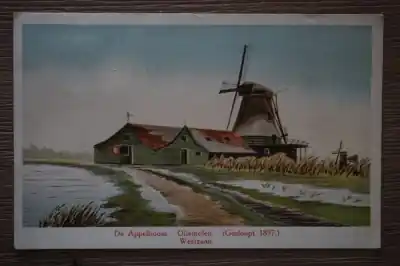 Westzaan De Appelboom Oliemolen gesloopt 1897 Autentyczny