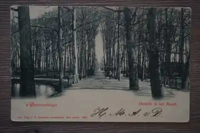 Premium Den Haag Gezicht in de bosch