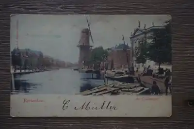 Tani Rotterdam De Coolsingel