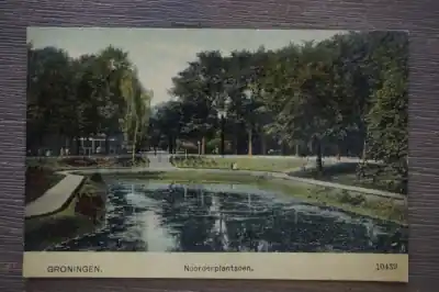 Groningen Noorderplantsoen Niska cena
