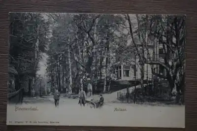 Bloemendaal Mollaan Szybka dostawa