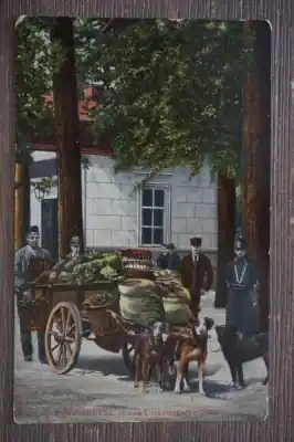 Den Haag Ingang Haagsche bosch Wyprzedaż