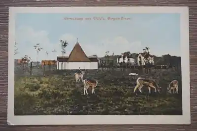 Oferta Bergen Hertenkamp met villa's