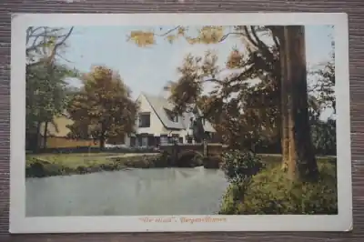 Nowość Bergen De Sluis