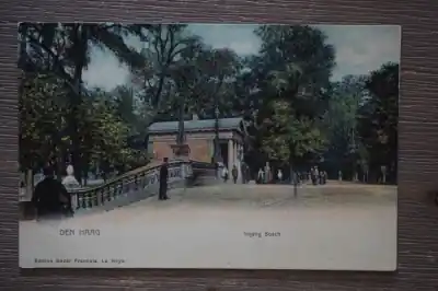 Den Haag Ingang Bos Popularny